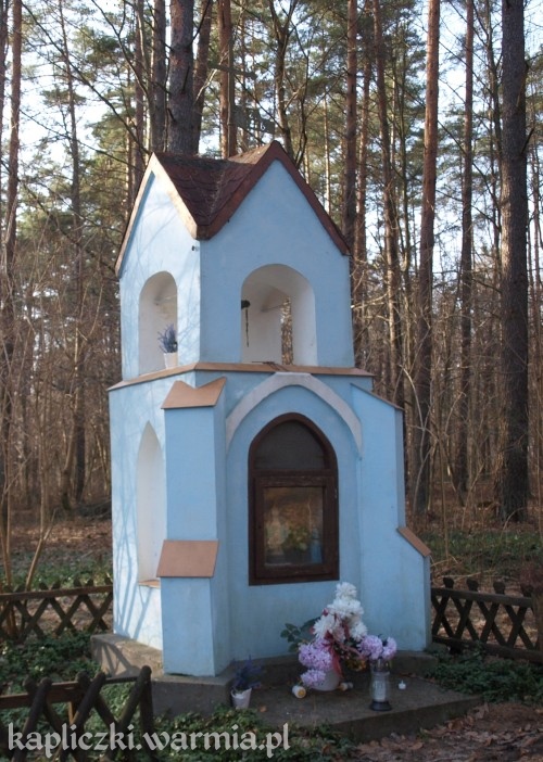 Redykajny - 1886 rok.